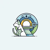 تصویربرداری تشخیصی