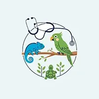 اگزوتیک و پرندگان