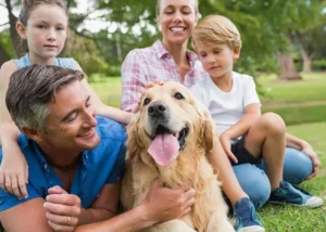 وفادارترین نژادهای سگ در دنیا